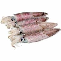 CALAM.INDOP.U/3 A 2pzx4,5kg INDIA(NARROW)