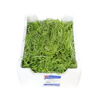 RUCOLA ITALIA kg.1              ORTOROMI