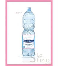 ACQUA NATURALE LT.2             SORGESANA