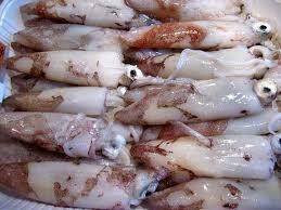 CALAM.PUNTILLA 3/5 BL.    900g CINA