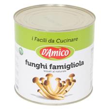 FUNGHI FAMIGL.NATURALE KG.2.5   D'AMICO