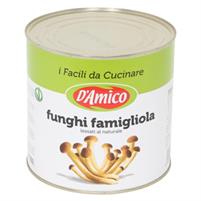 FUNGHI FAMIGL.NATURALE KG.2.5   D'AMICO