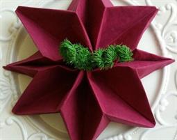 TOVAGLIOLI STELLE DI NATALE     LUCART