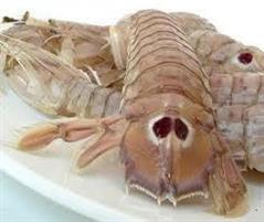 PANNOCCHIE(CICALE) 4cfx1kg G ADRIATICHE