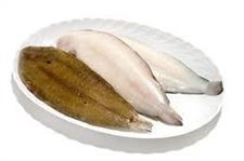 SOGLIOLA***********DOVER 5 (BUSTA ±500g 30%gl)